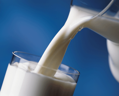 produits laitiers Le lait , le 2 ème criminel qui se cache dans votre réfrigérateur