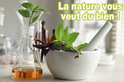 Phytotherapie Le Bien Etre Et La Sante Au Naturel Eco Ecolo Pour Ecologie Bien Etre Bio Et La Sante Au Naturel