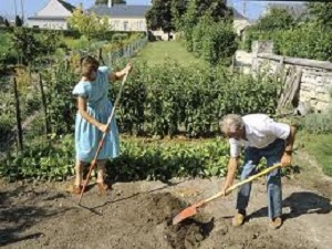 Les bienfaits du jardinage pour votre santé