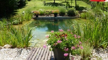 Comment construire une piscine naturelle? j’ai enfin trouvé une méthode française de qualité destinée aux débutants pour construire une piscine naturelle.