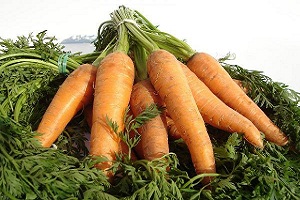 Tout savoir sur les bienfaits de la carotte