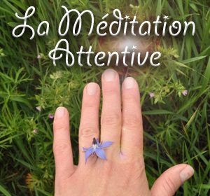 Méditation attentive - Apprenez à apprécier chaque instant de la vie