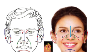 Illustration de la Réflexologie Dien Chan sur un visage.